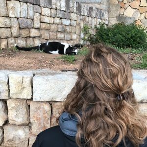 Meet your Posher, India